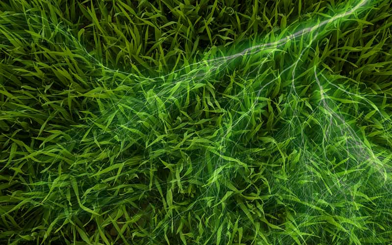 Artificial grass static